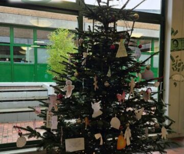 🎄 Frohe Weihnachten vom Hüffertgymnasium! 🎄